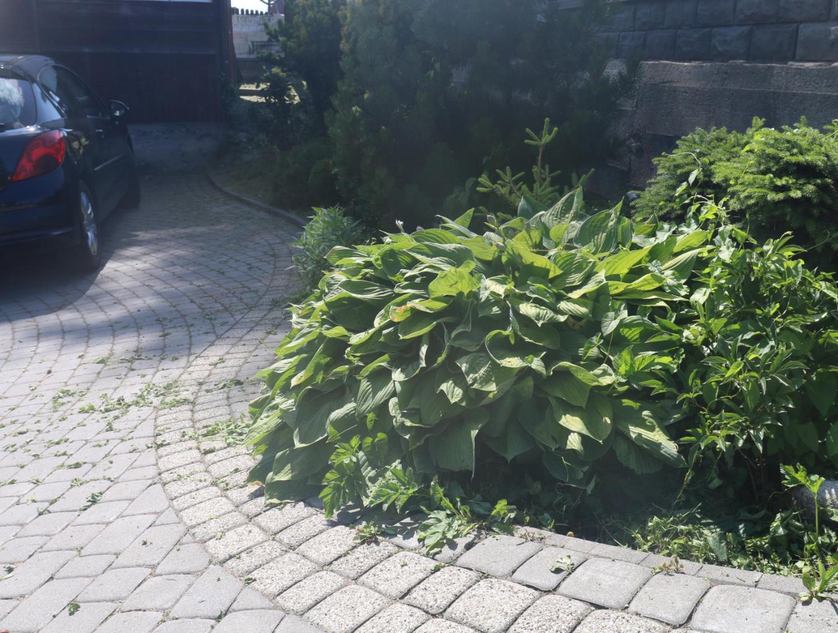 Smyrecek Daire Bukowina Tatrzańska Dış mekan fotoğraf