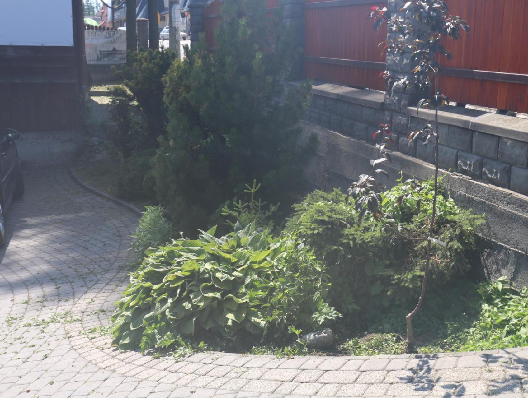 Smyrecek Daire Bukowina Tatrzańska Dış mekan fotoğraf