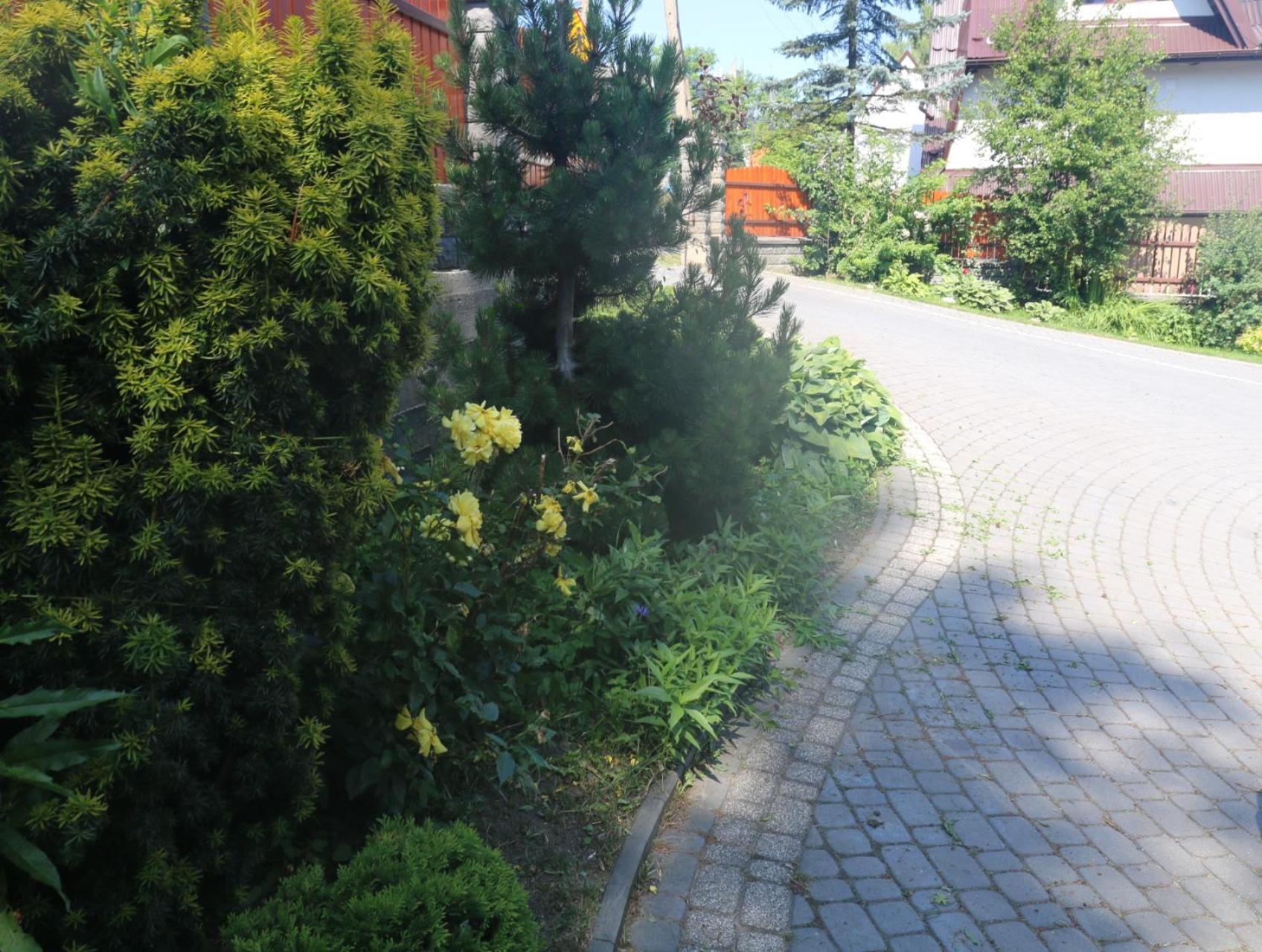 Smyrecek Daire Bukowina Tatrzańska Dış mekan fotoğraf
